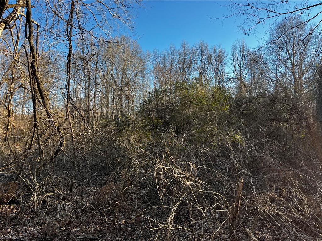 0 Light Road Thomasville, NC 27360 - Photo 1 of 8