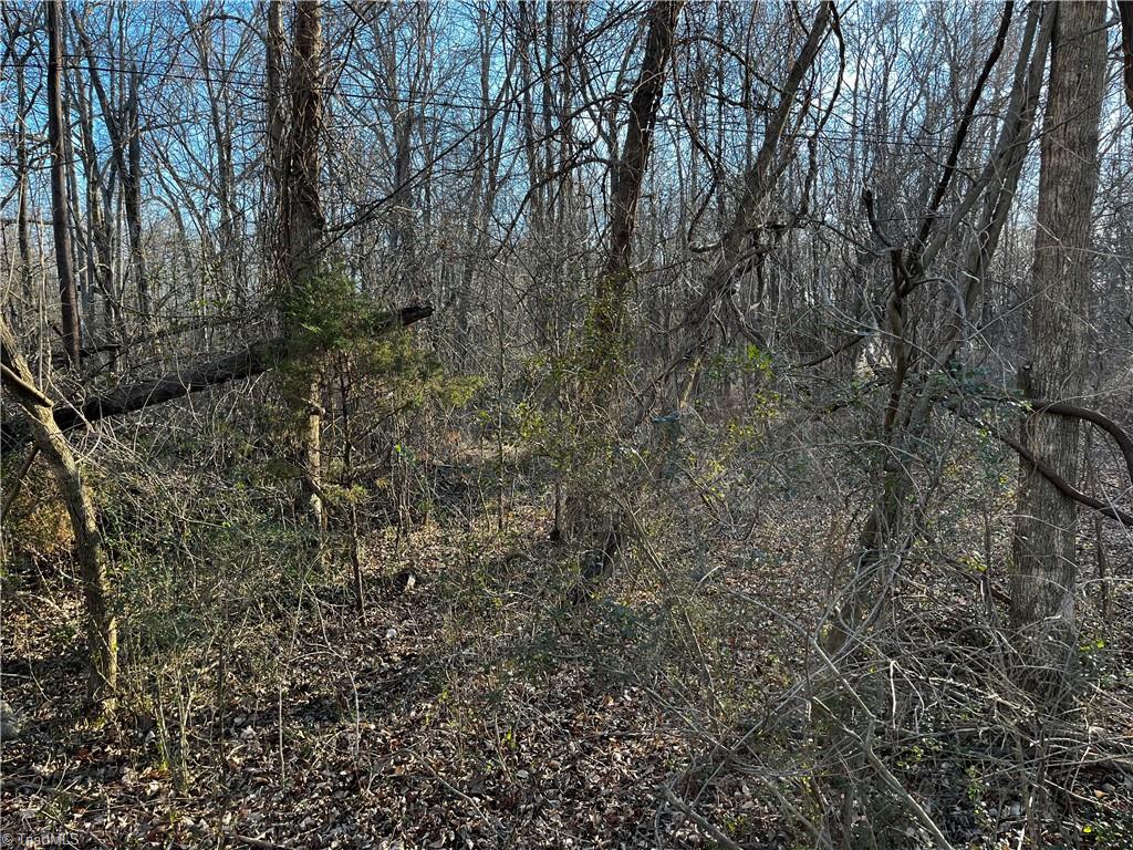 0 Light Road Thomasville, NC 27360 - Photo 3 of 8
