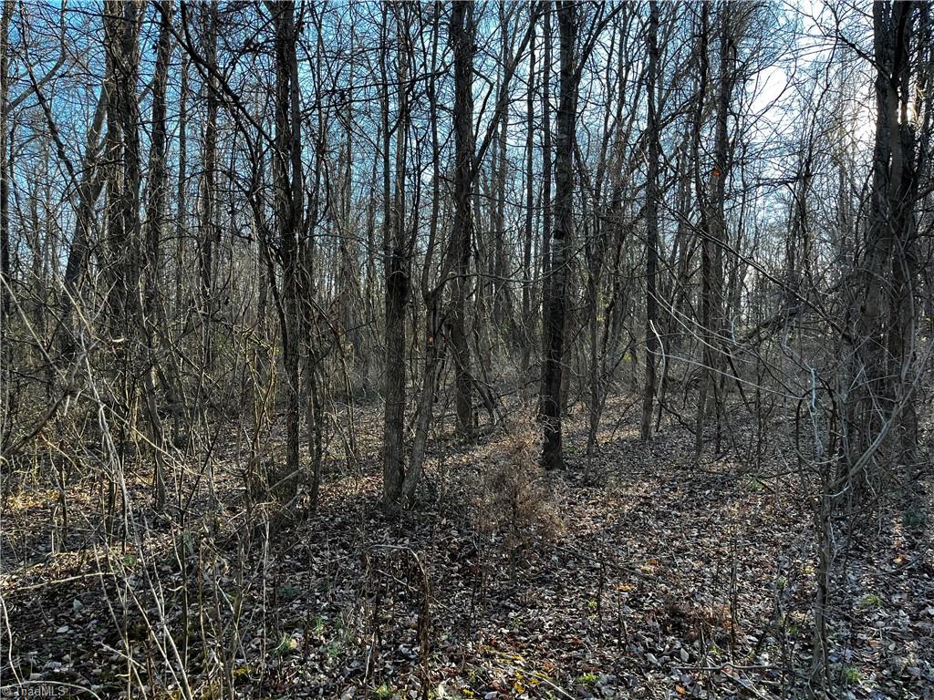 0 Light Road Thomasville, NC 27360 - Photo 5 of 8
