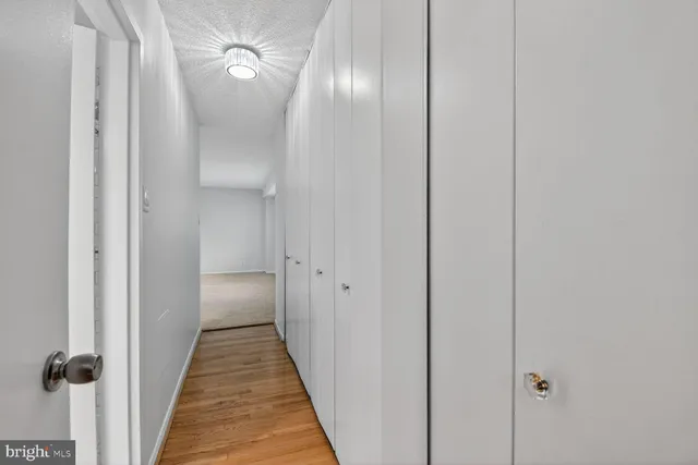 a view of a swimming pool with a yard