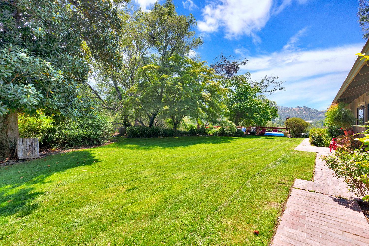 43715 Dinely Drive Three Rivers, CA 93271 - Photo 5 of 51 a view of yard with swimming pool and green space