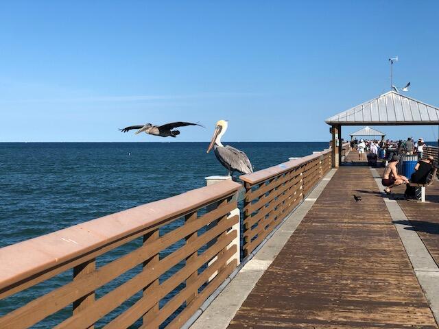 112 Cape Pointe Circle Jupiter, FL 33477 - Photo 34 of 35 Walk to pier