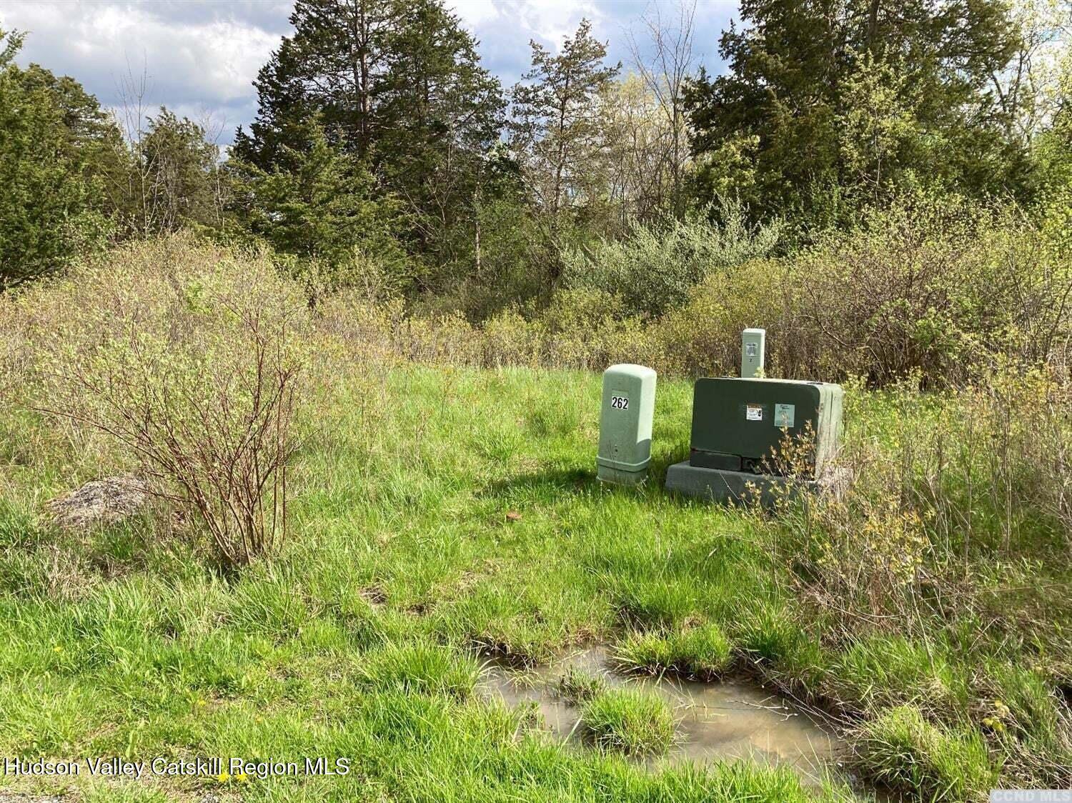 40 Travis Place, Unit 262 Athens, NY 12015 - Photo 4 of 10 a backyard of a house with lots of green space and trees