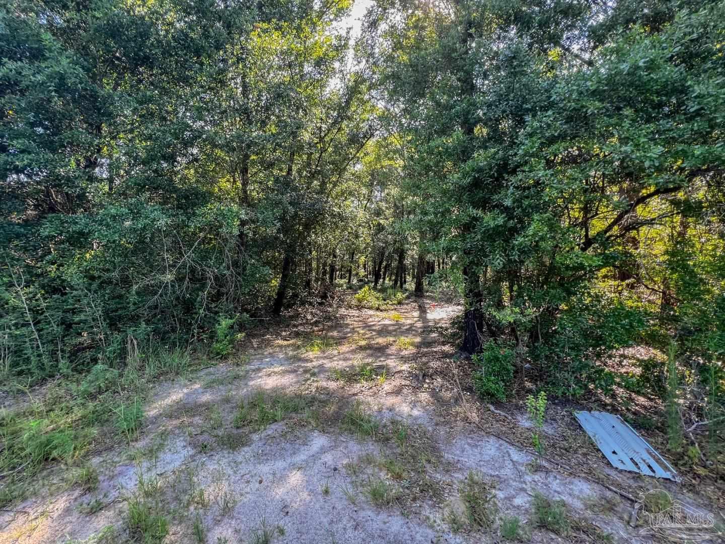 4351 Audiss Road Milton, FL 32583 - Photo 2 of 9 Gallery Image 2