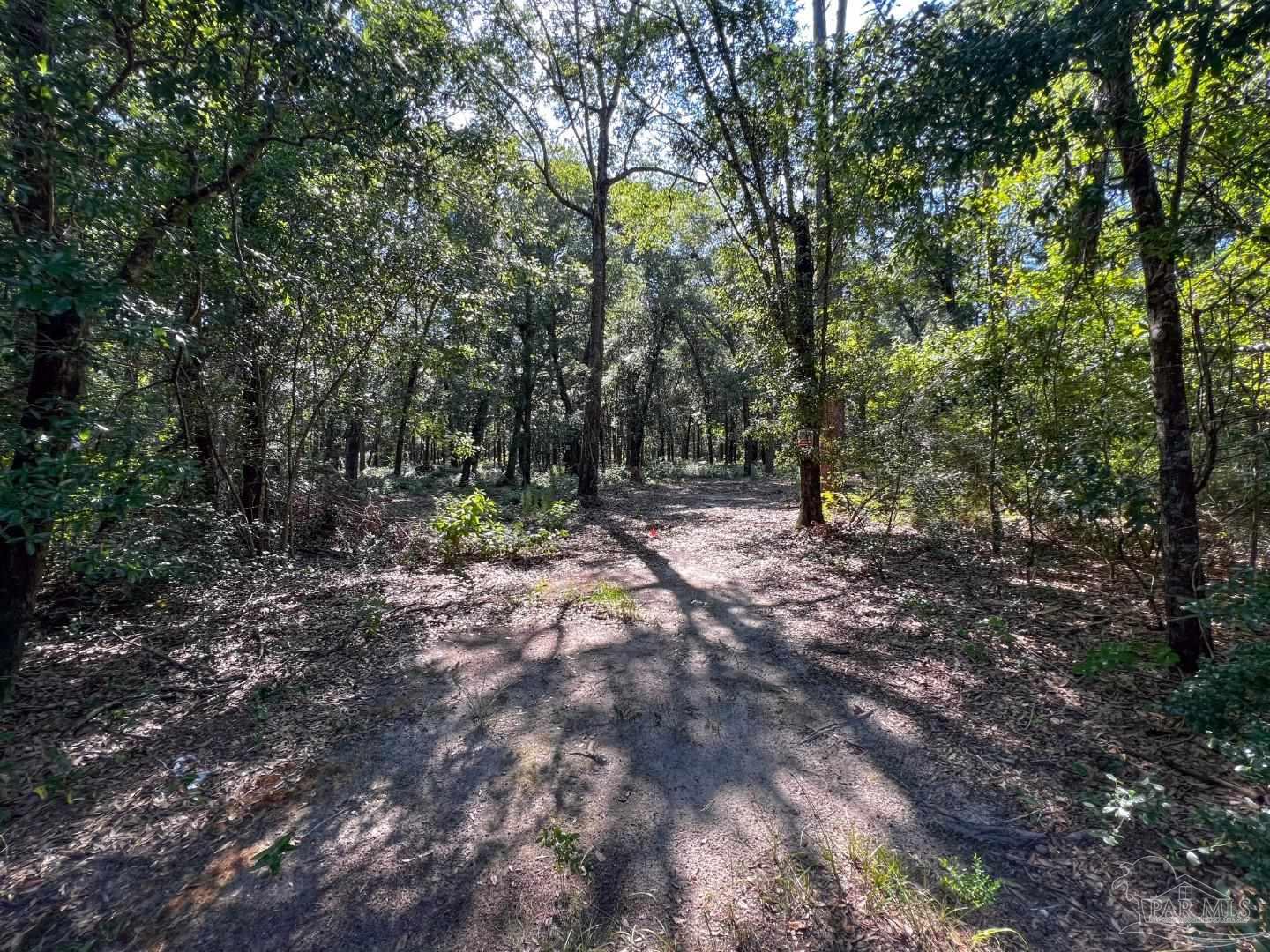 4351 Audiss Road Milton, FL 32583 - Photo 3 of 9 Gallery Image 3