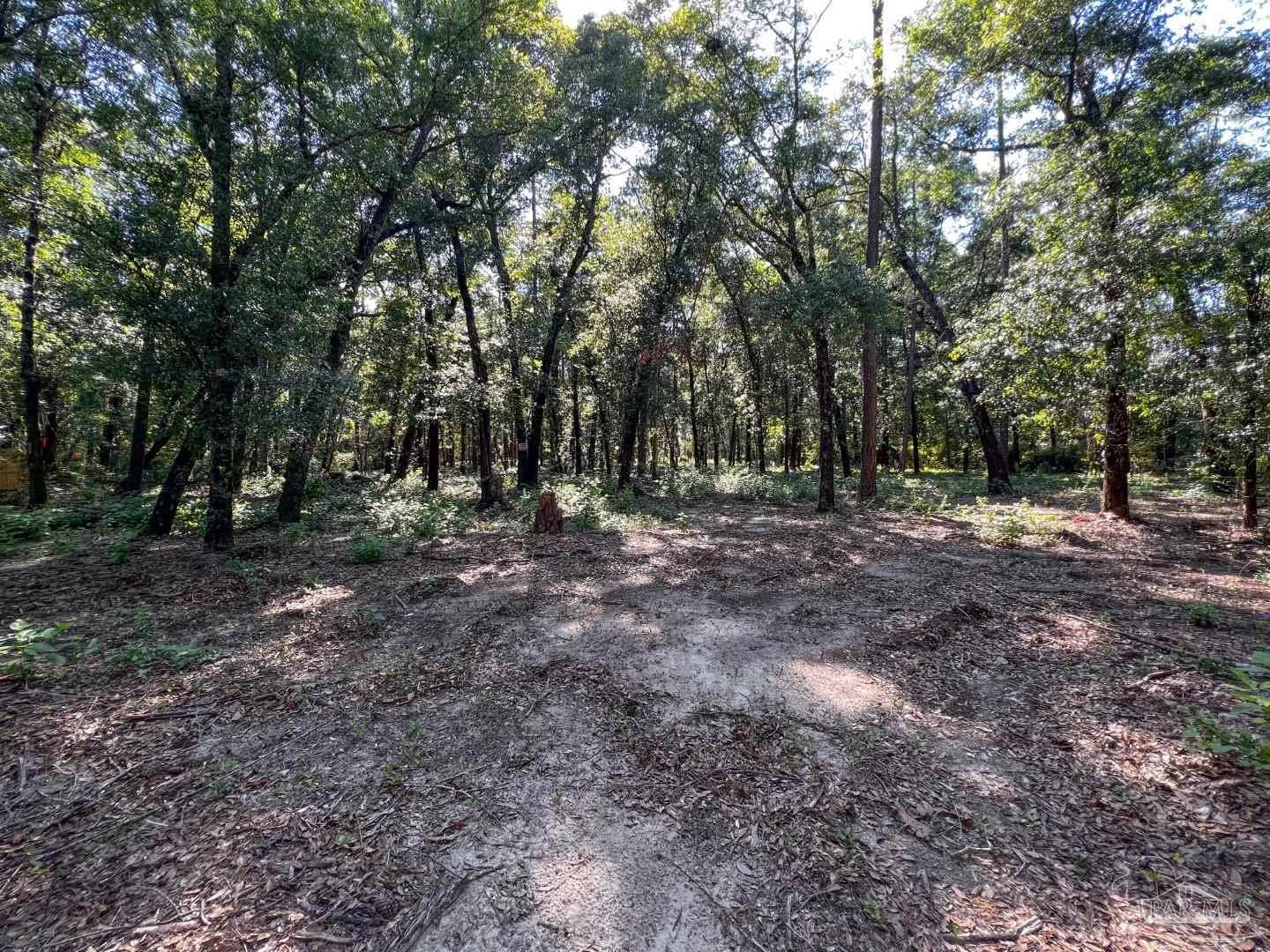 4351 Audiss Road Milton, FL 32583 - Photo 4 of 9 Gallery Image 4