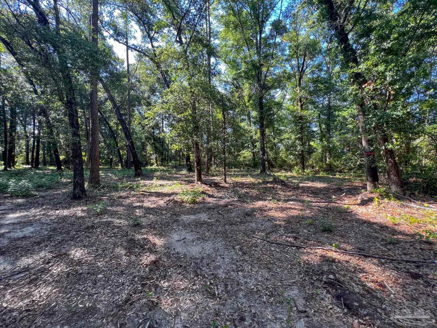4351 Audiss Road Milton, FL 32583 - Photo 6 of 9 Gallery Image 6