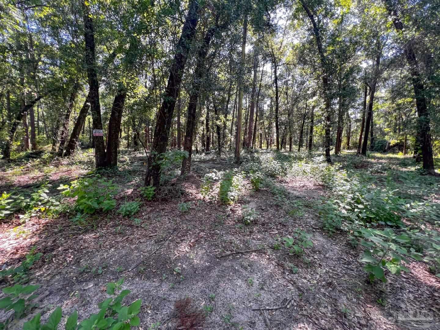 4351 Audiss Road Milton, FL 32583 - Photo 7 of 9 Gallery Image 7