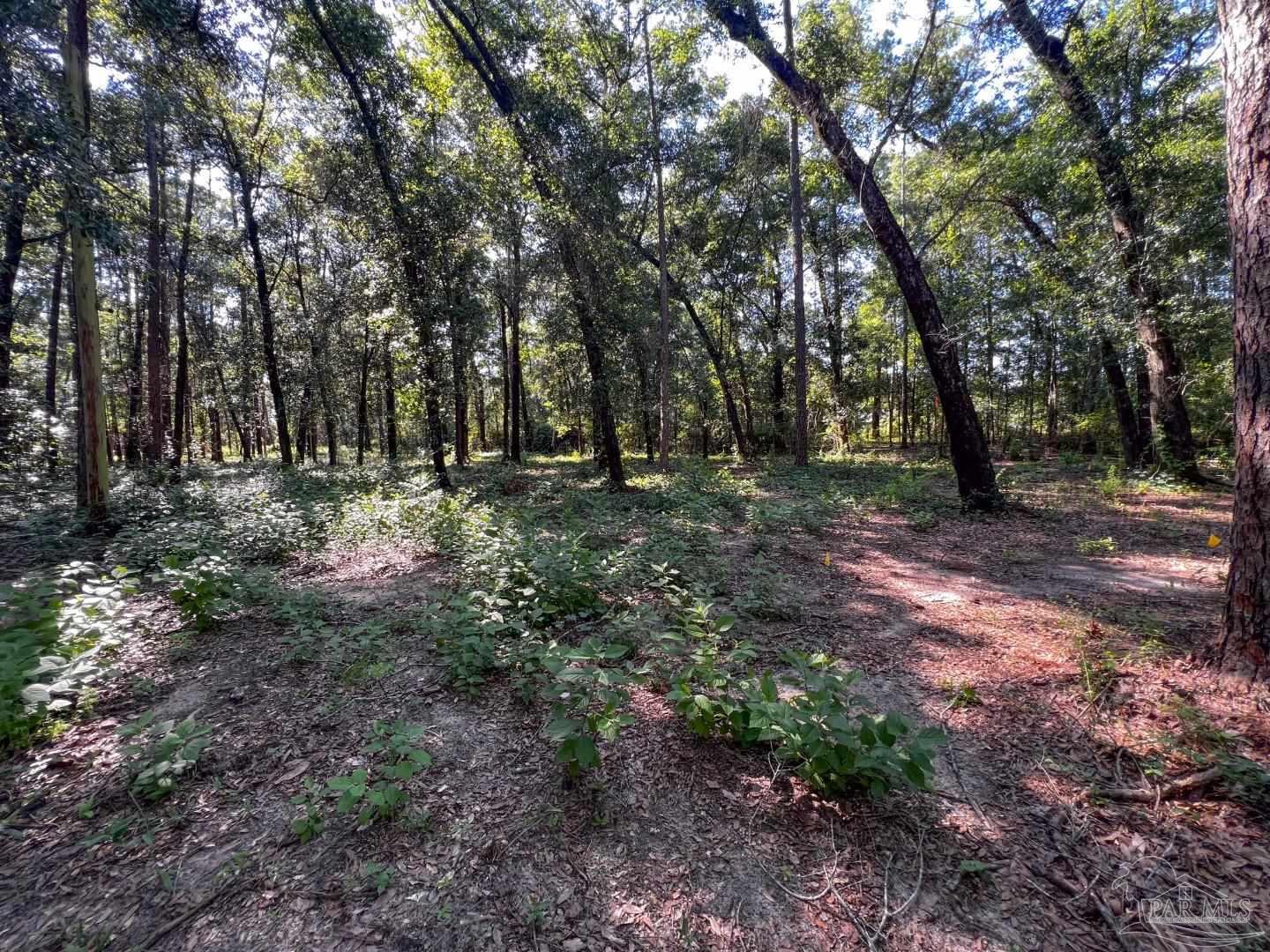 4351 Audiss Road Milton, FL 32583 - Photo 8 of 9 Gallery Image 8