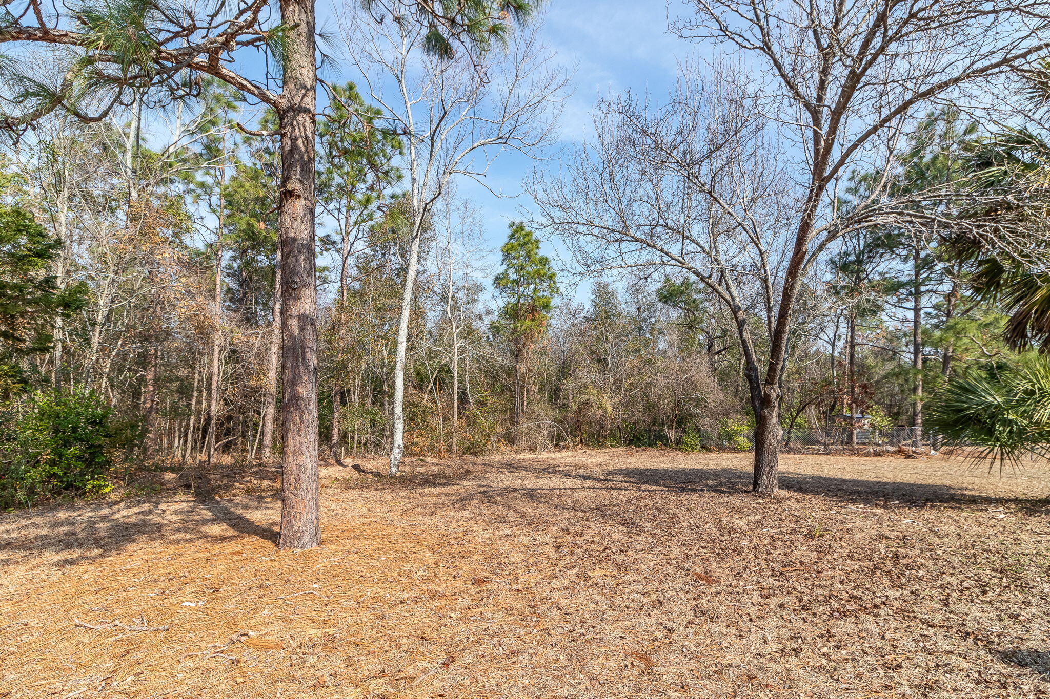 633 Ridgefield Drive North Augusta, SC 29841 - Photo 39 of 47 Large Backyard