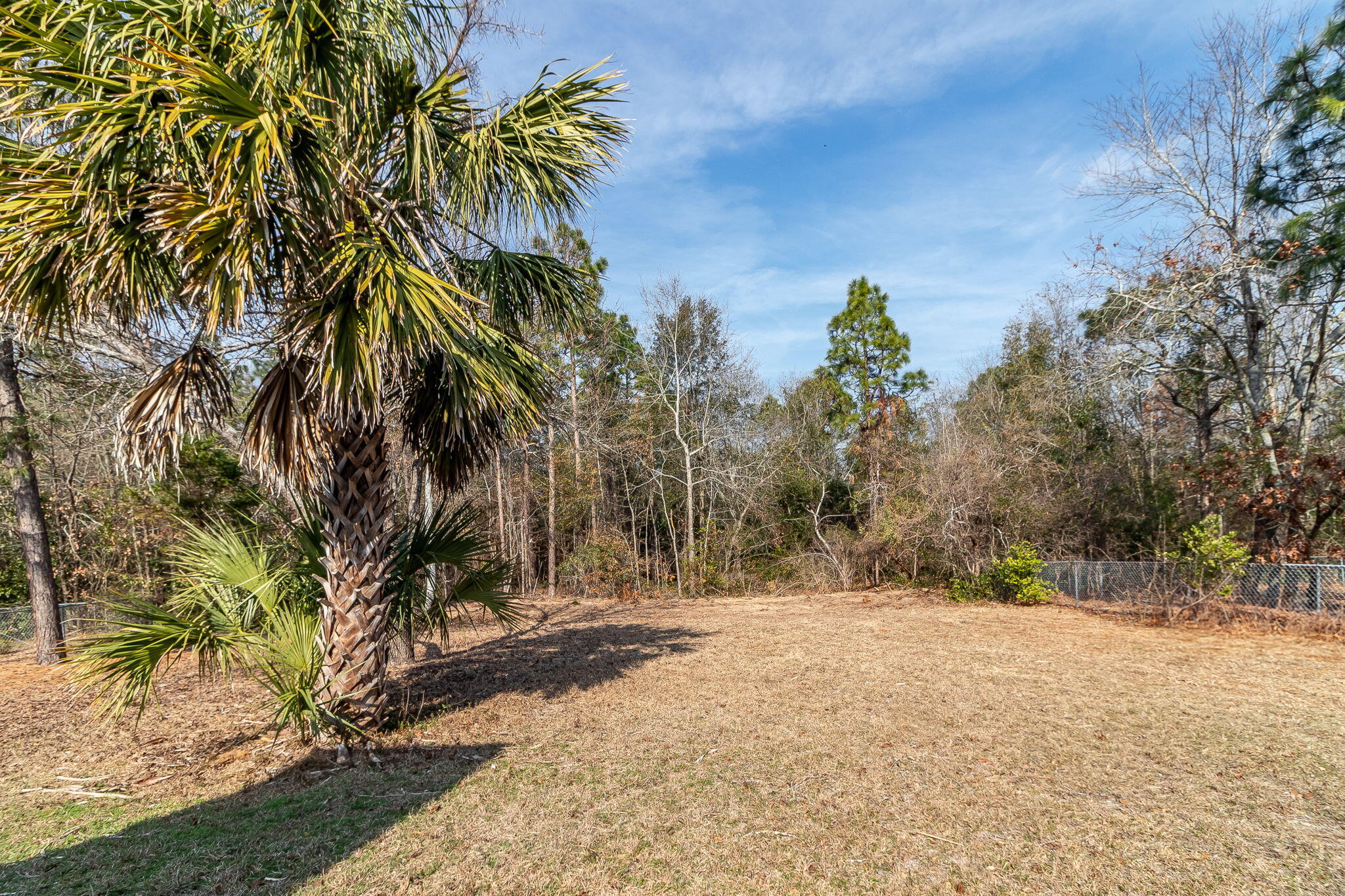 633 Ridgefield Drive North Augusta, SC 29841 - Photo 41 of 47 Large Backyard