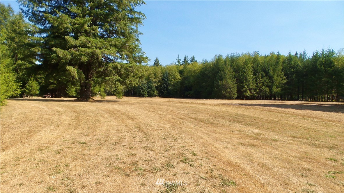 228 Keys Road Elma, WA 98541 - Photo 5 of 25 Gallery Image 5