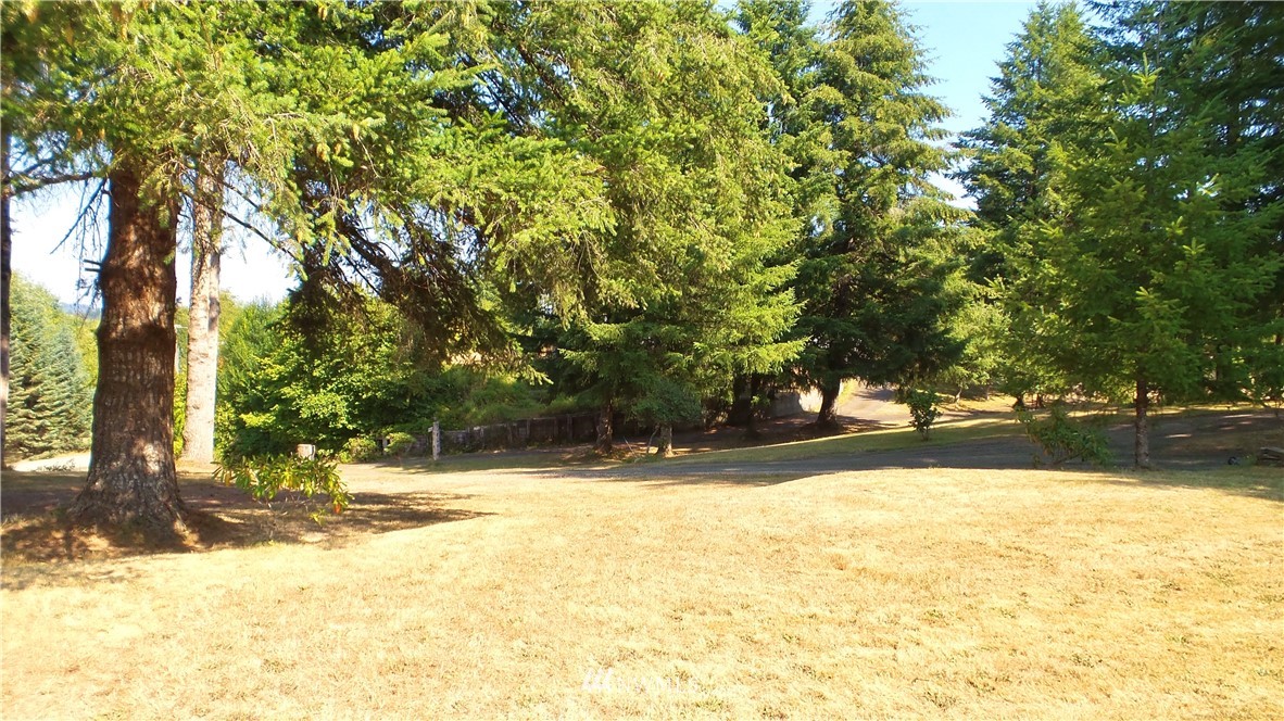 228 Keys Road Elma, WA 98541 - Photo 6 of 25 Gallery Image 6