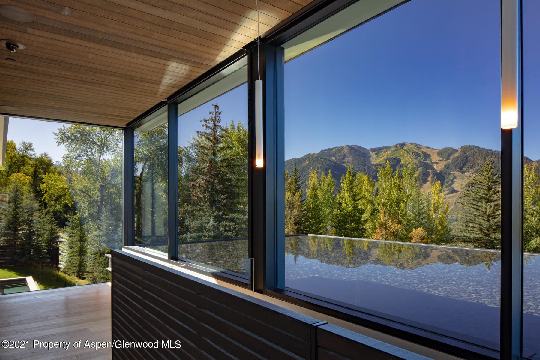 979 Red Mountain Road Aspen, CO 81612 - Photo 4 of 30 108A8902