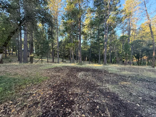 a view of outdoor space with green space