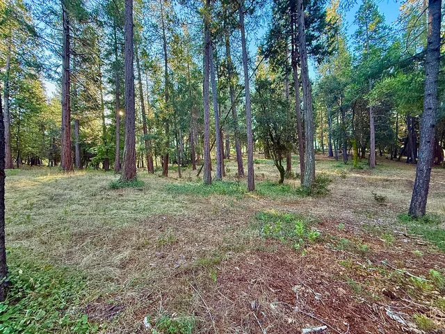 a view of outdoor space with trees