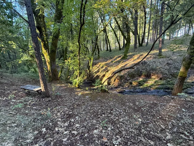 a backyard of a house with lots of green space