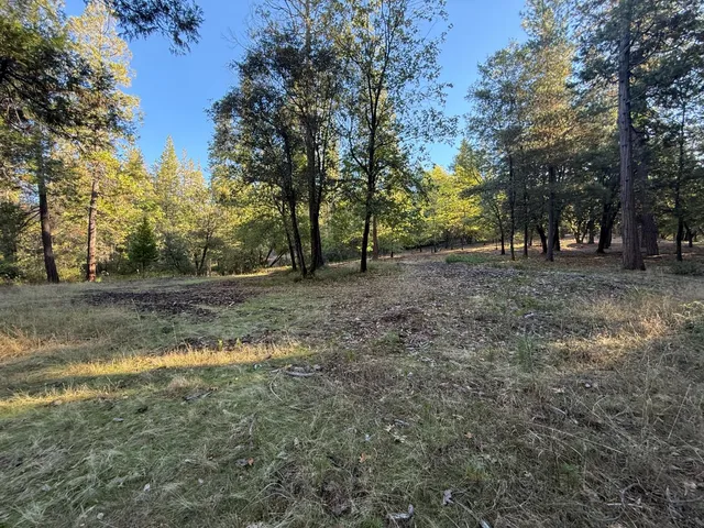 a view of outdoor space with trees