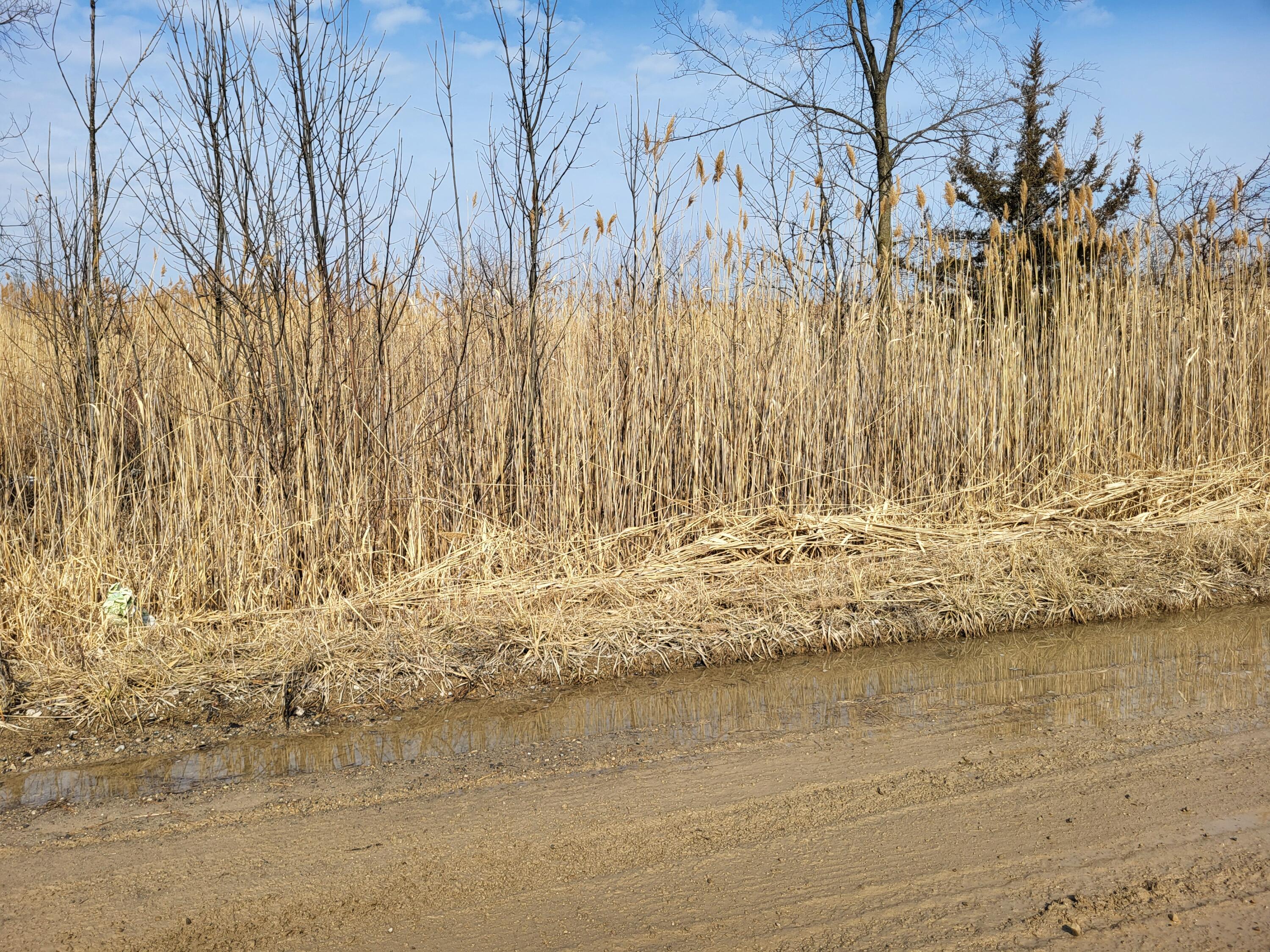 0 Carleton West Road New Boston, MI 48164 - Photo 1 of 3 20260217_131720