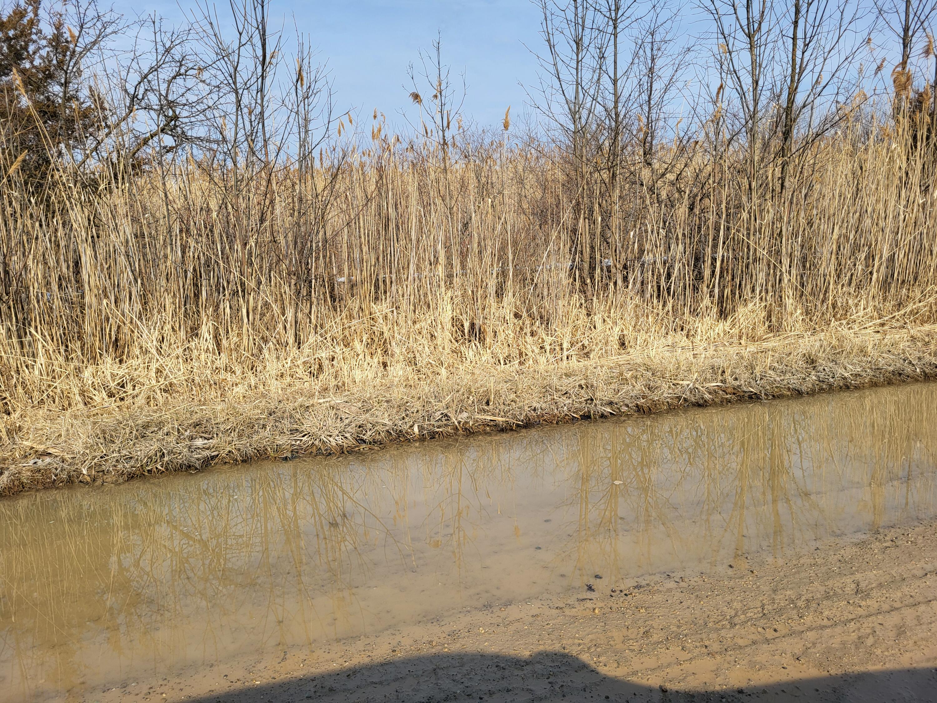 0 Carleton West Road New Boston, MI 48164 - Photo 2 of 3 20260217_131741