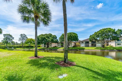 a view of a park with palm trees