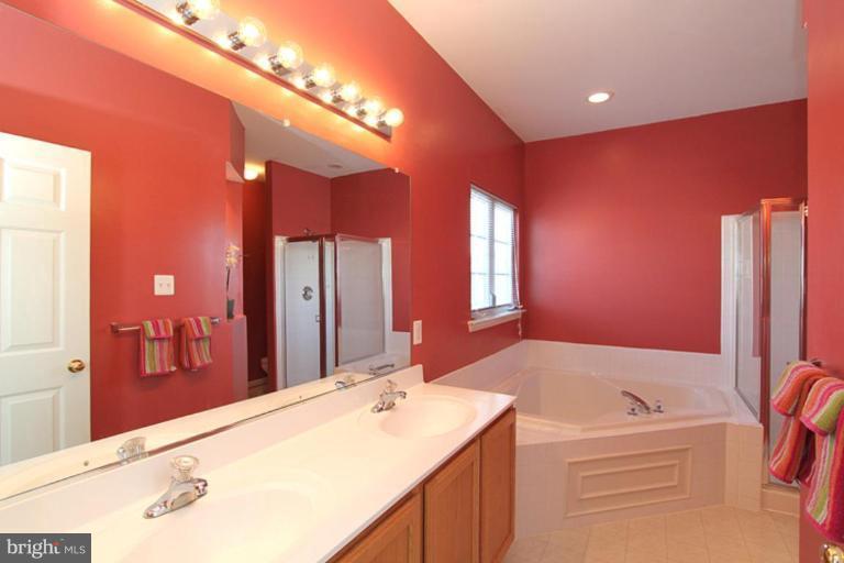 18409 Cornflower Road Boyds, MD 20841 - Photo 8 of 24 a bathroom with a sink a large mirror and a bathtub