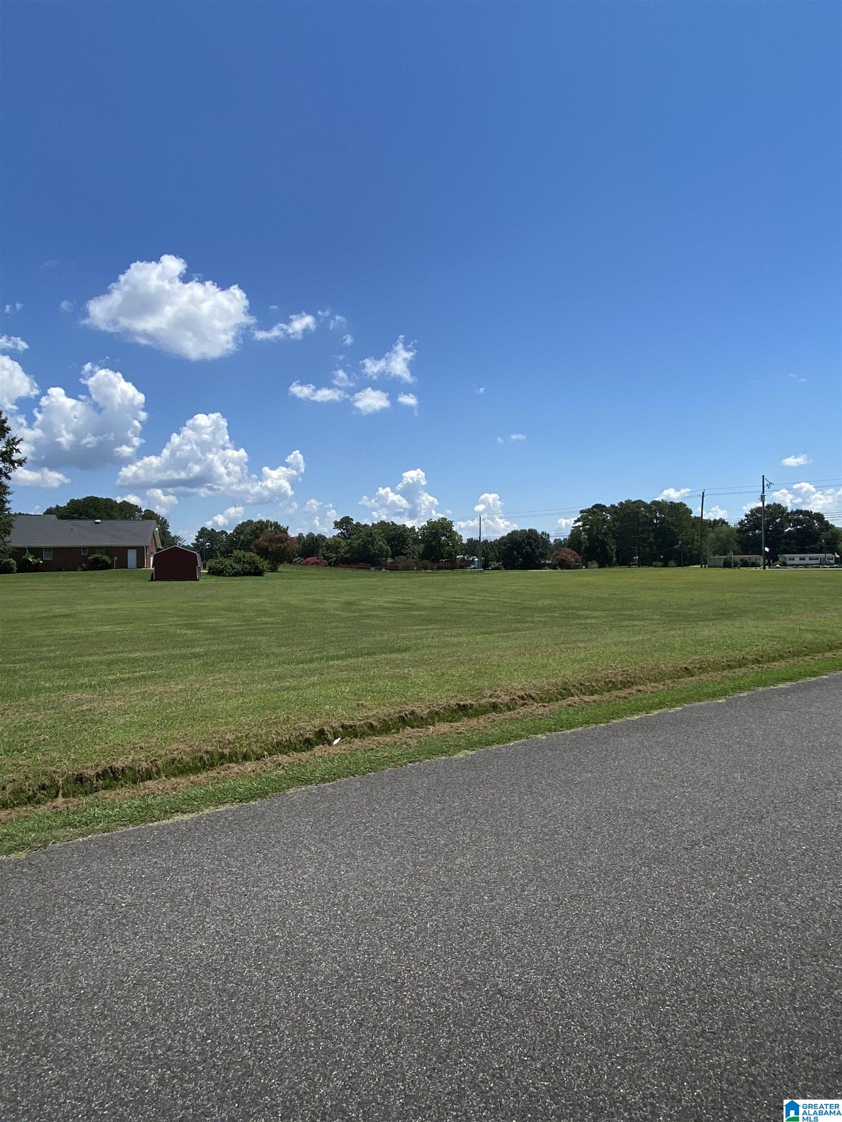 0 Myers Road Odenville, AL 35120 - Photo 3 of 7