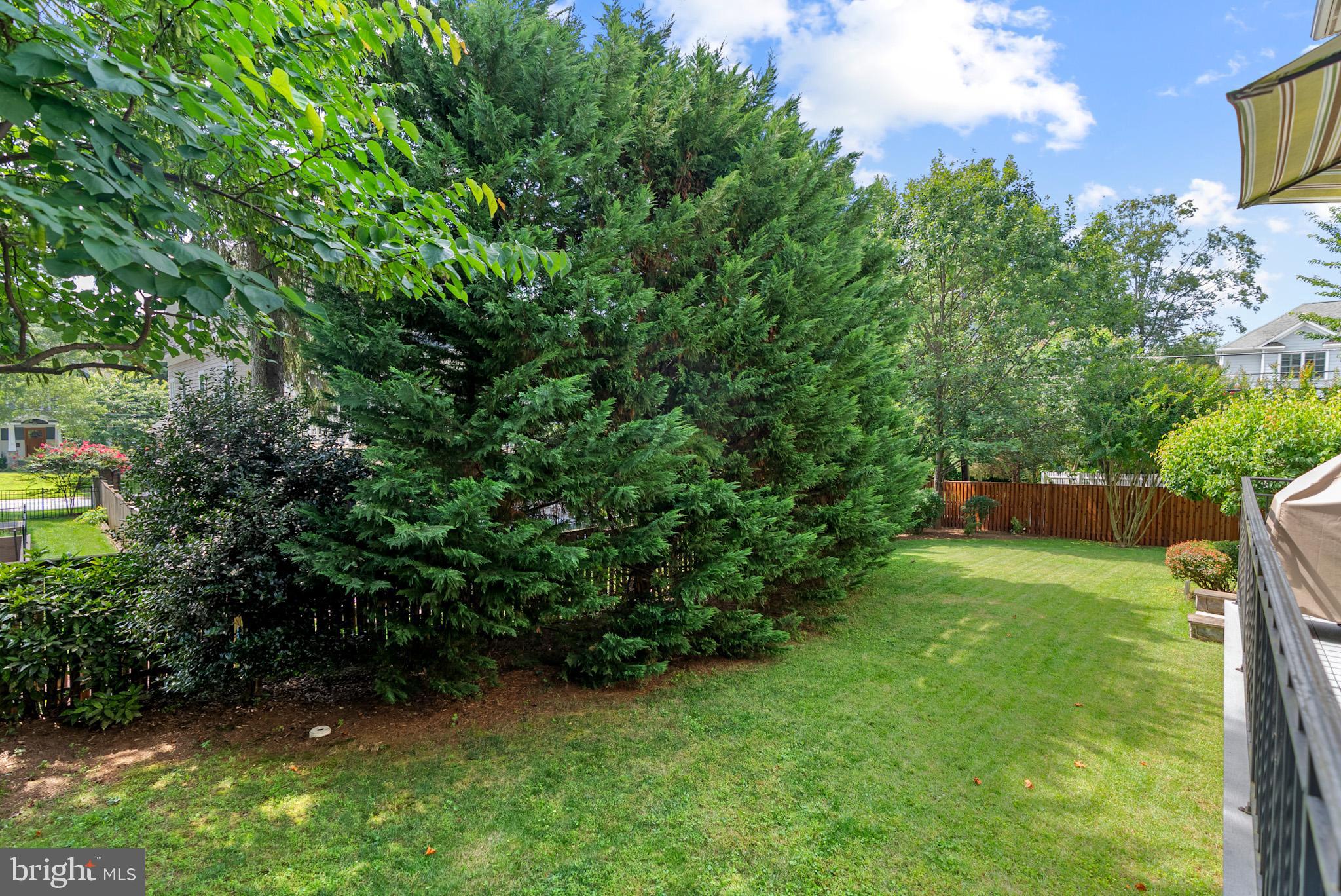 6108 Landon Lane Bethesda, MD 20817 - Photo 69 of 74 Rear Yard