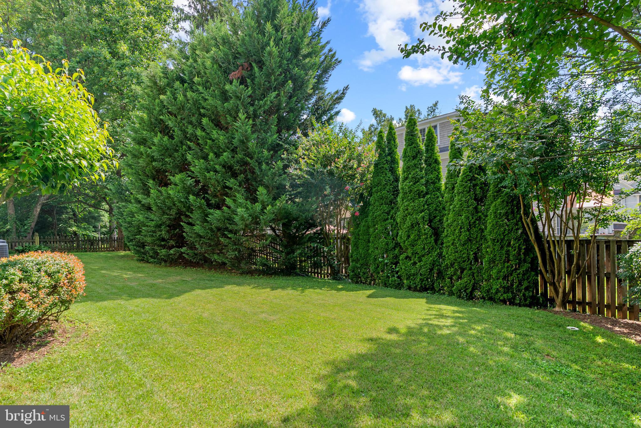 6108 Landon Lane Bethesda, MD 20817 - Photo 70 of 74 Rear Yard