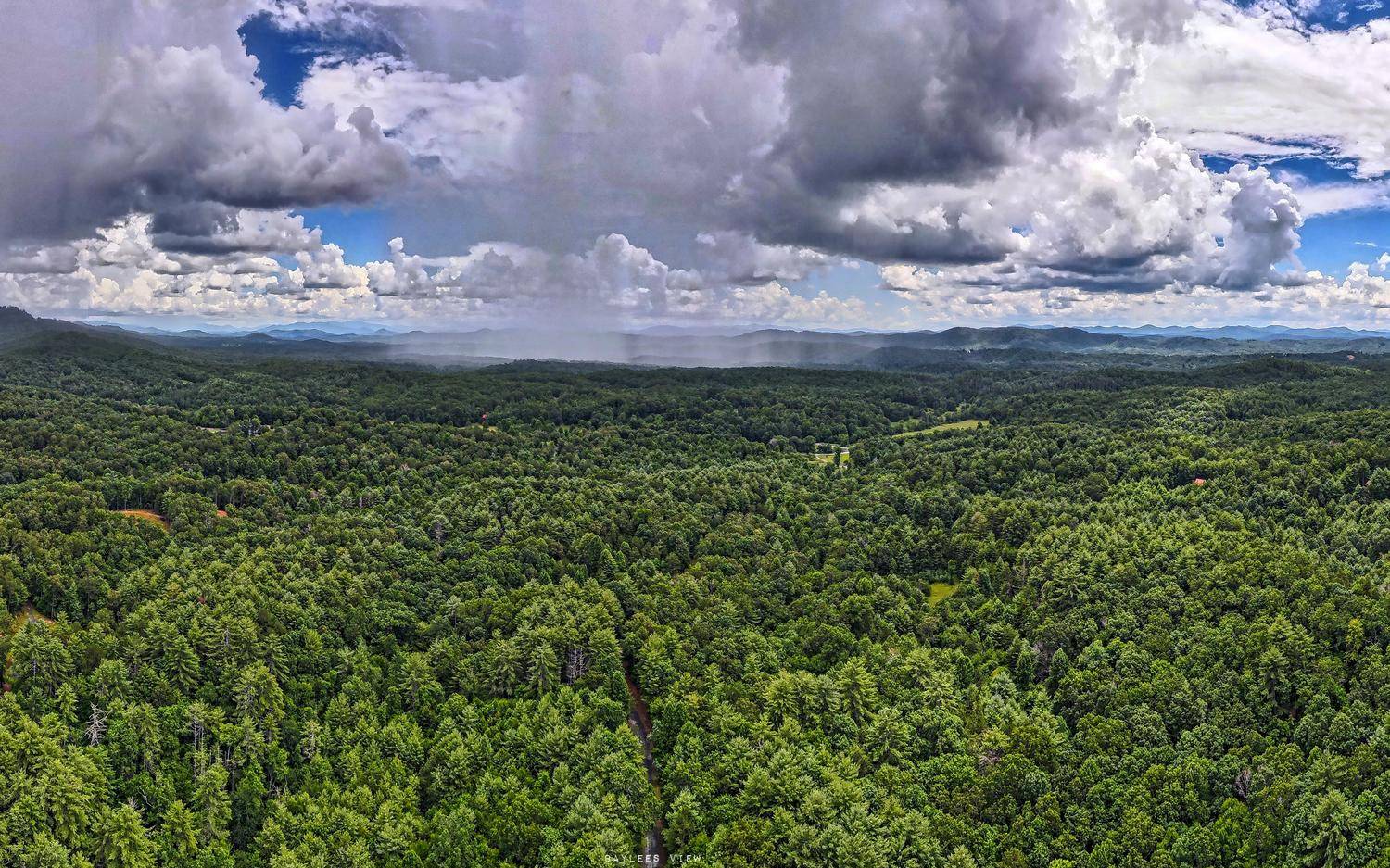 8-9 Rocking Chair Ridge Mineral Bluff, GA 30559 - Photo 1 of 1 Main View
