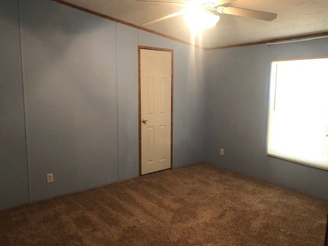 187 Mark Walden Road Blythe, GA 30805 - Photo 8 of 17 Gallery Image 8