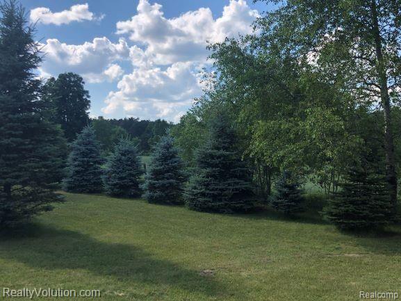 1377 Roods Lake Road Lapeer, MI 48446 - Photo 25 of 58
