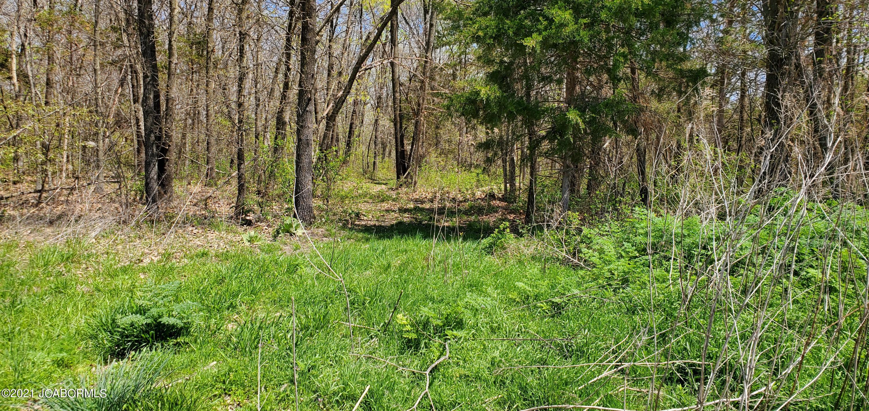 Tbd Carney King Road Russellville, MO 65074 - Photo 1 of 1