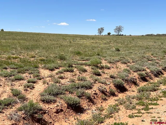 $39,250 | N5 Tbd Road, Cortez, CO 81321