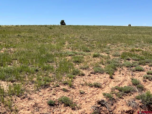 $39,250 | N5 Tbd Road, Cortez, CO 81321