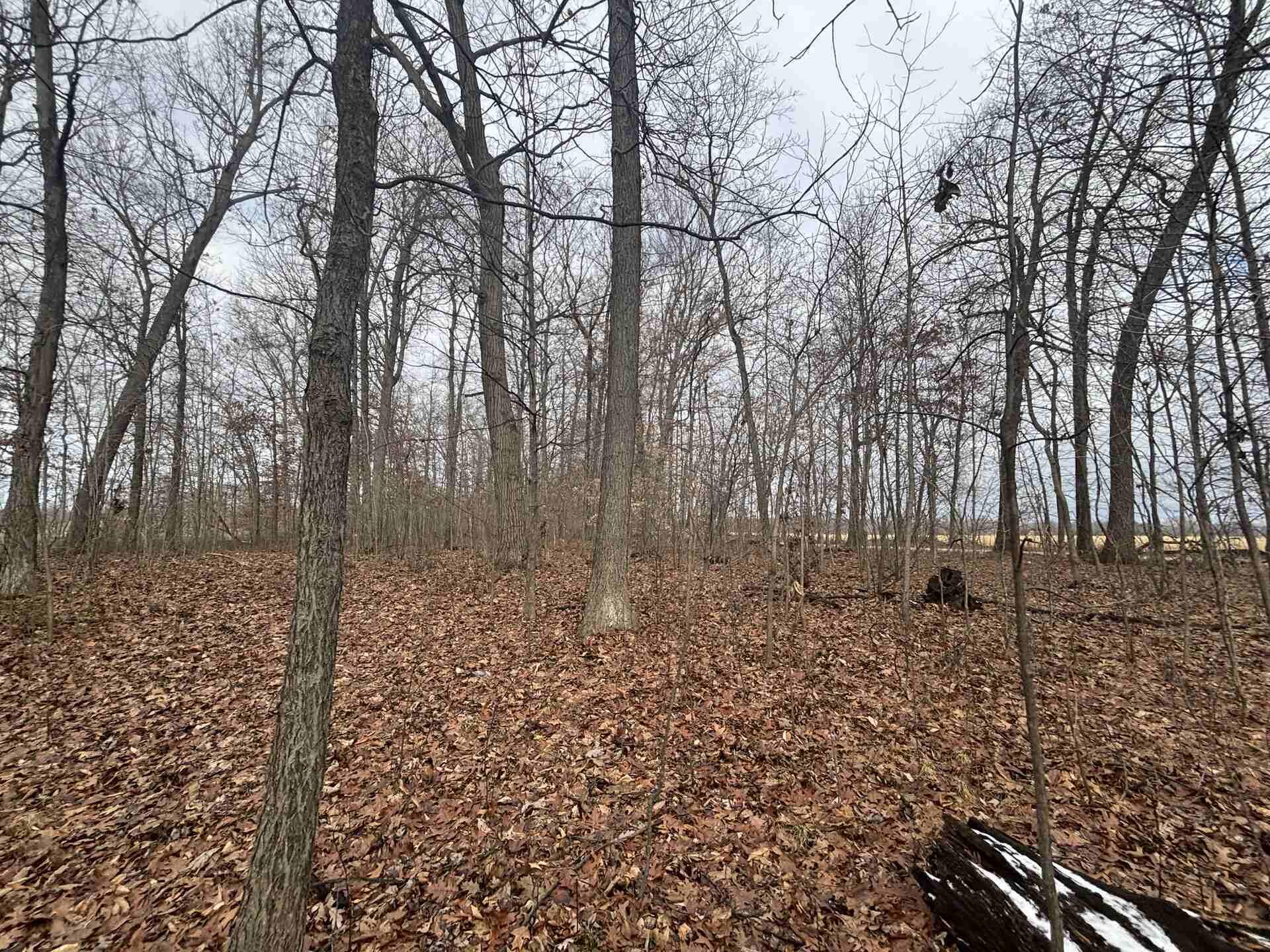 25 A 89th Decatur, MI 49045 - Photo 11 of 28 IMG_4244