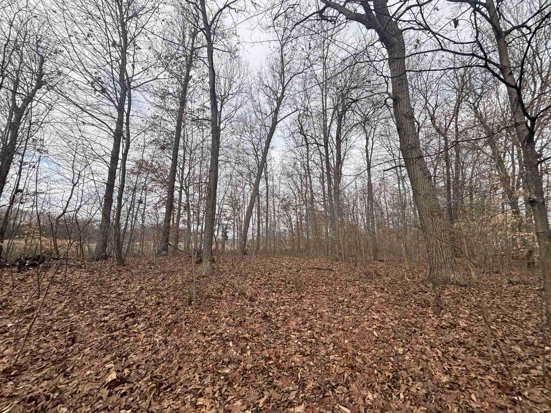 25 A 89th Decatur, MI 49045 - Photo 12 of 28 IMG_4245