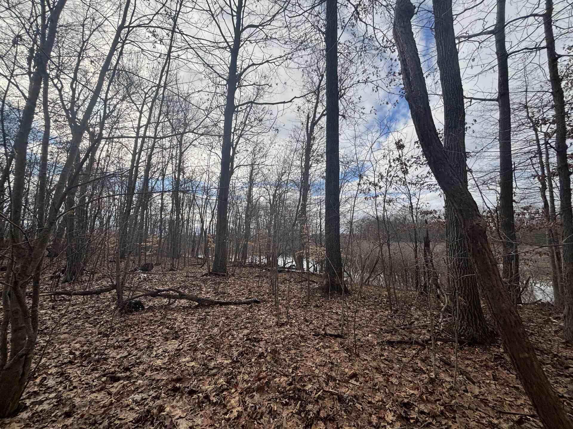 25 A 89th Decatur, MI 49045 - Photo 14 of 28 IMG_4247