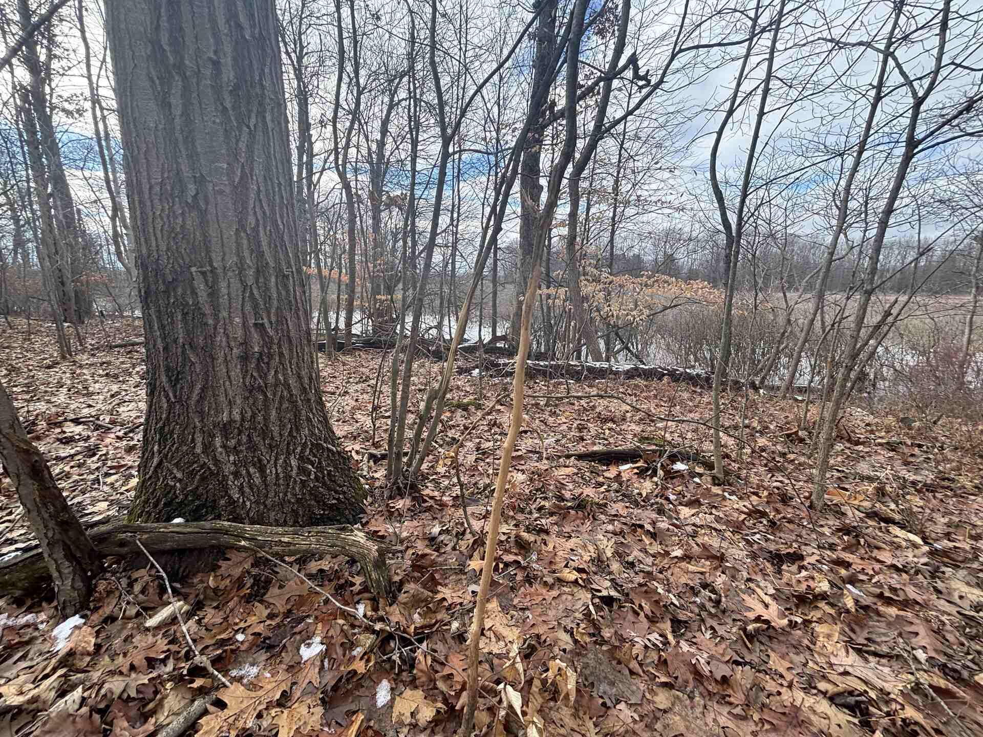 25 A 89th Decatur, MI 49045 - Photo 16 of 28 IMG_4249