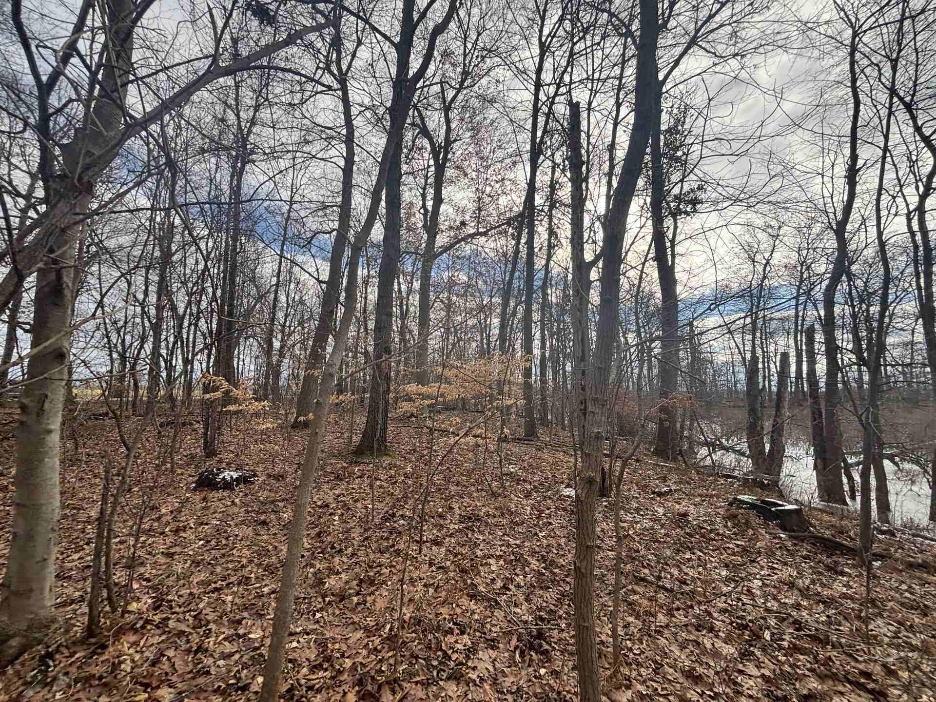 25 A 89th Decatur, MI 49045 - Photo 18 of 28 IMG_4251