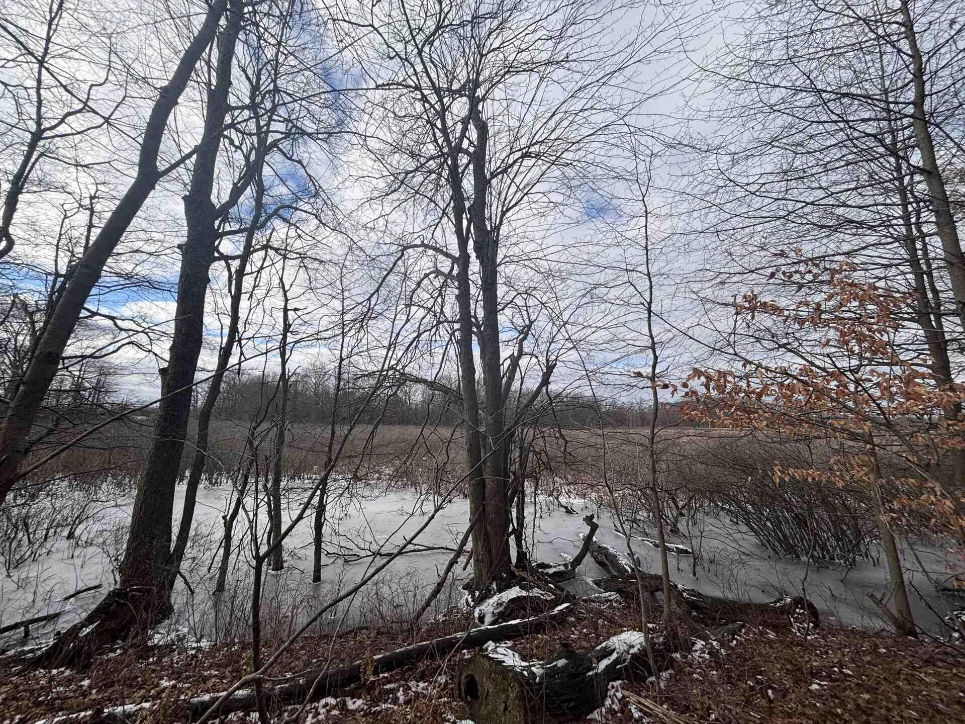 25 A 89th Decatur, MI 49045 - Photo 19 of 28 IMG_4252