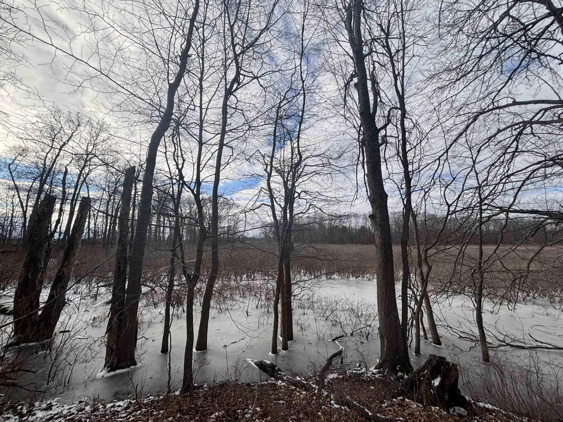 25 A 89th Decatur, MI 49045 - Photo 20 of 28 IMG_4253_2