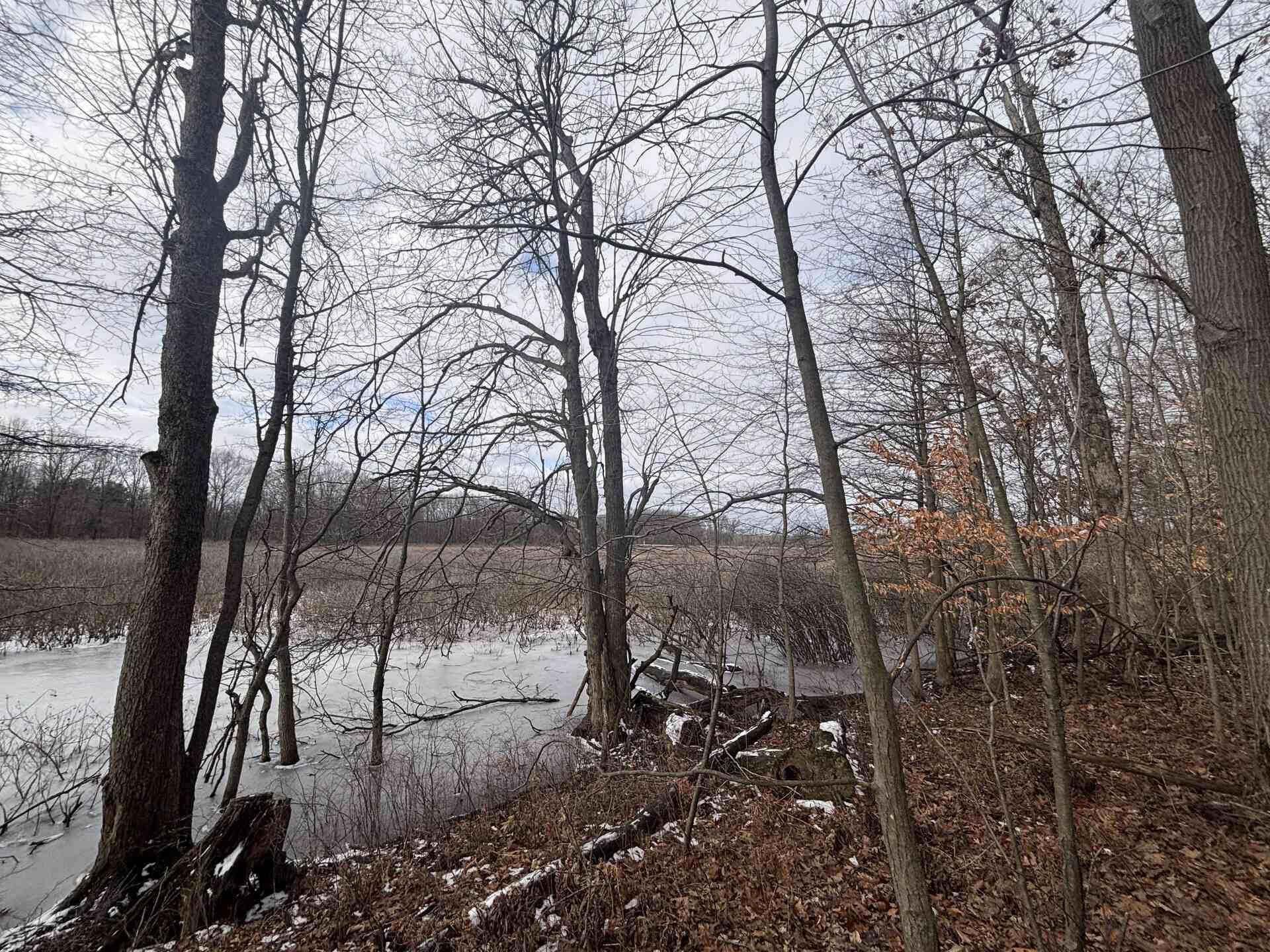 25 A 89th Decatur, MI 49045 - Photo 21 of 28 IMG_4254