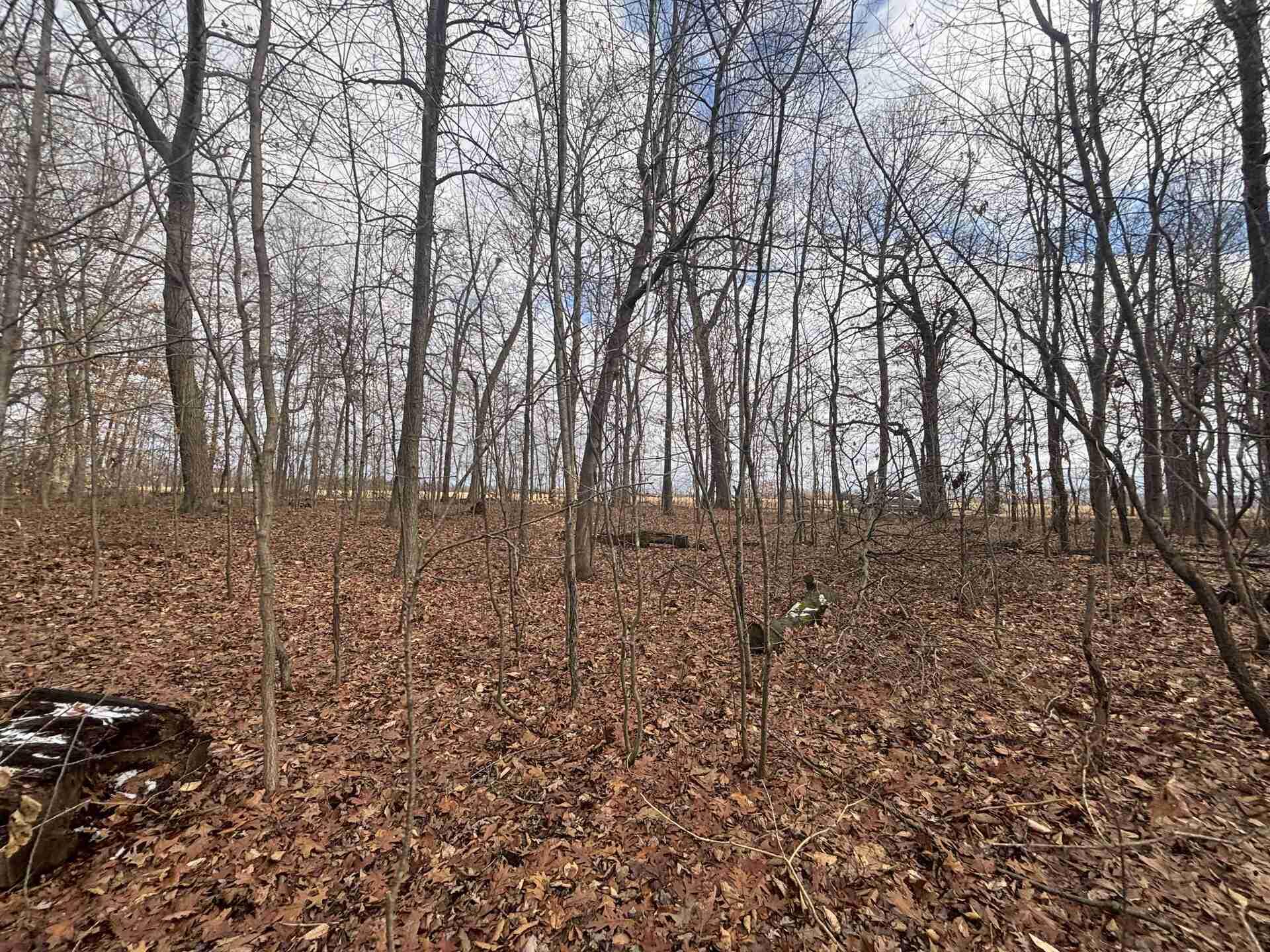 25 A 89th Decatur, MI 49045 - Photo 22 of 28 IMG_4255