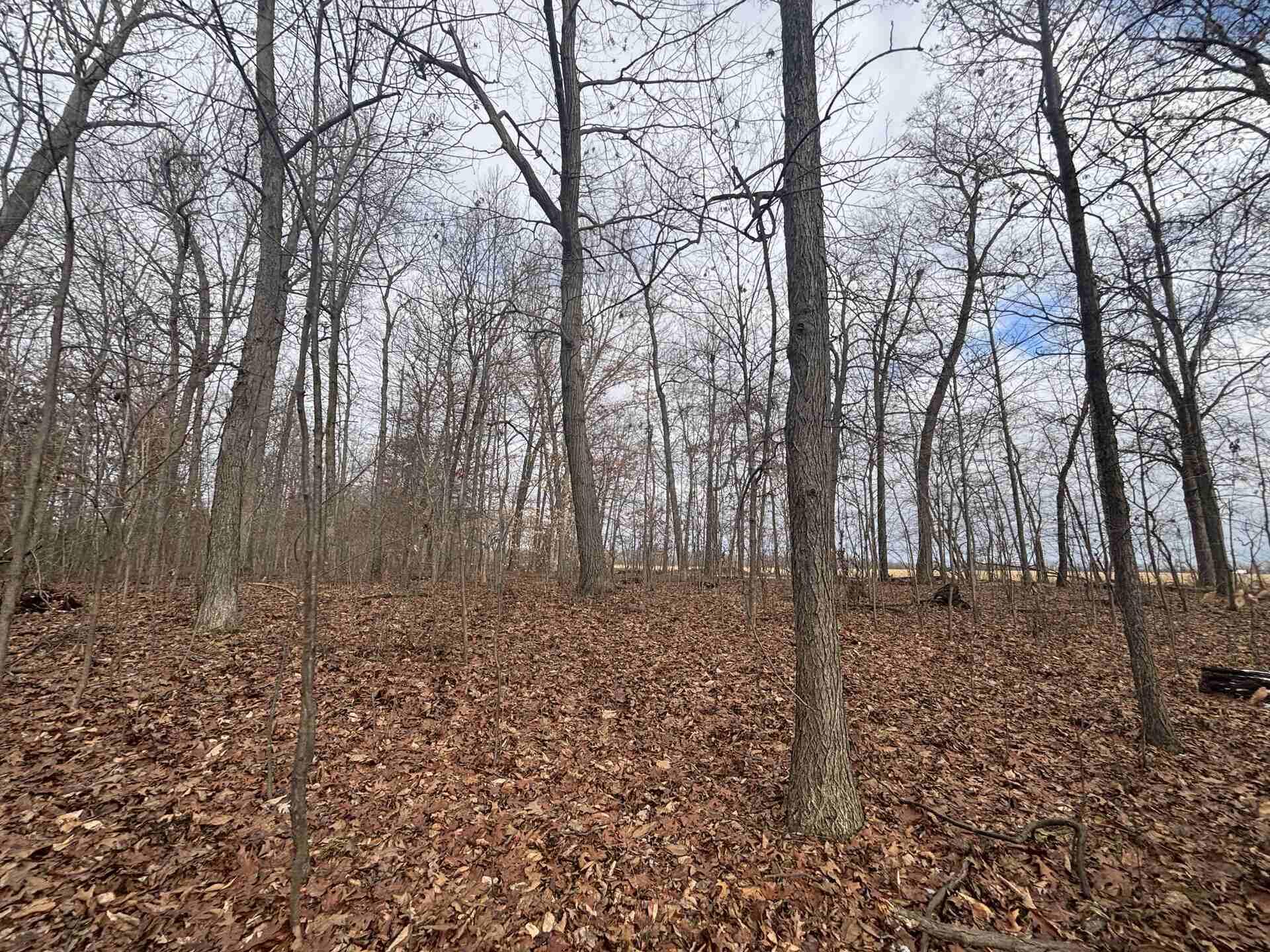 25 A 89th Decatur, MI 49045 - Photo 23 of 28 IMG_4256_2