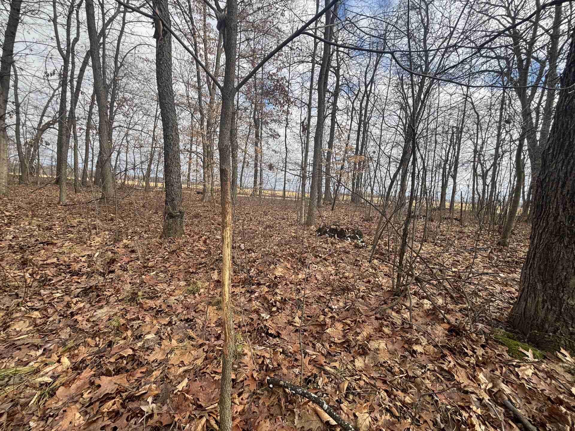 25 A 89th Decatur, MI 49045 - Photo 24 of 28 IMG_4257_2