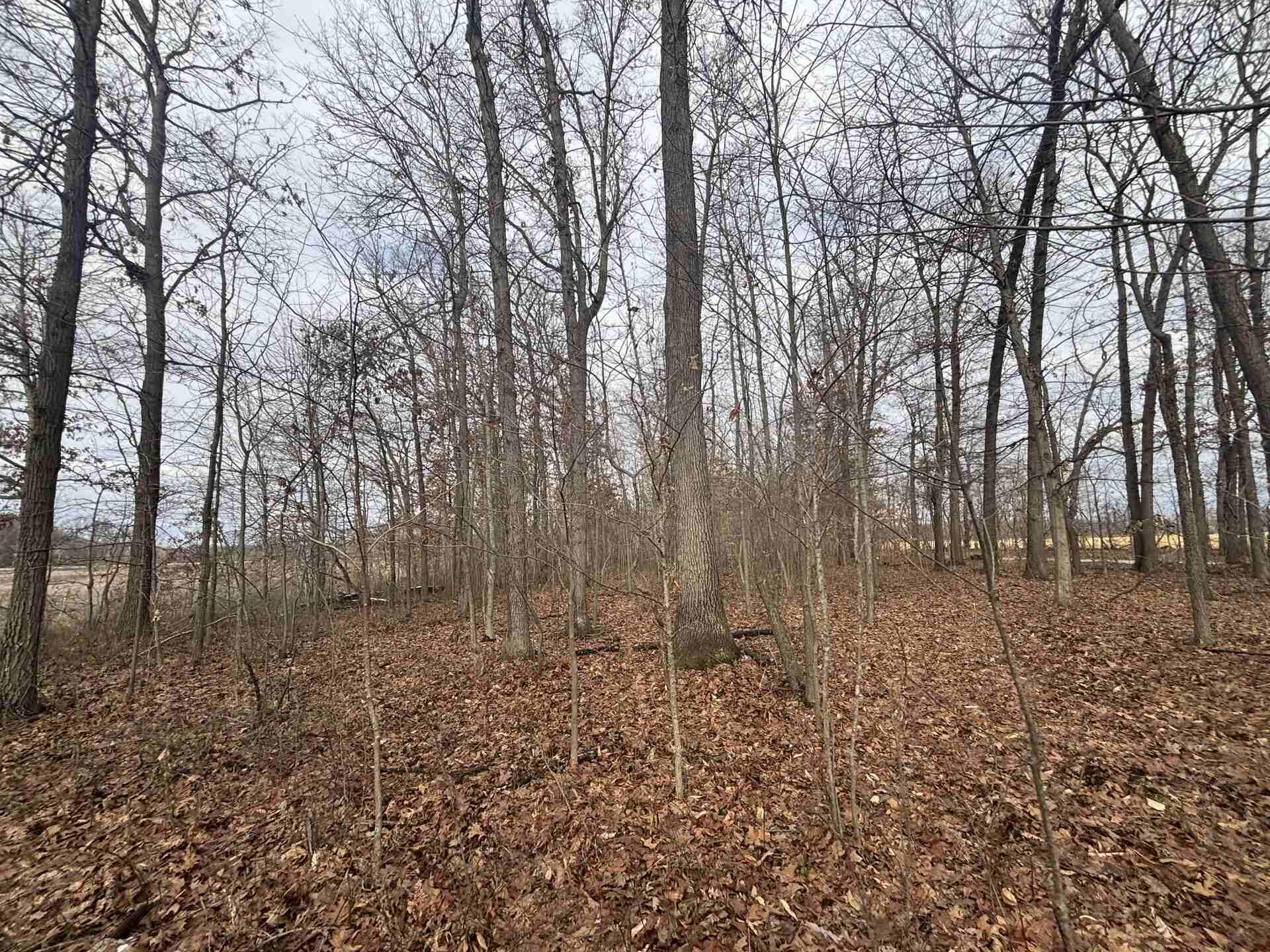 25 A 89th Decatur, MI 49045 - Photo 25 of 28 IMG_4258