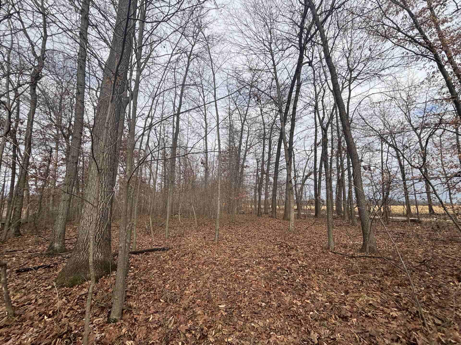 25 A 89th Decatur, MI 49045 - Photo 26 of 28 IMG_4259_2