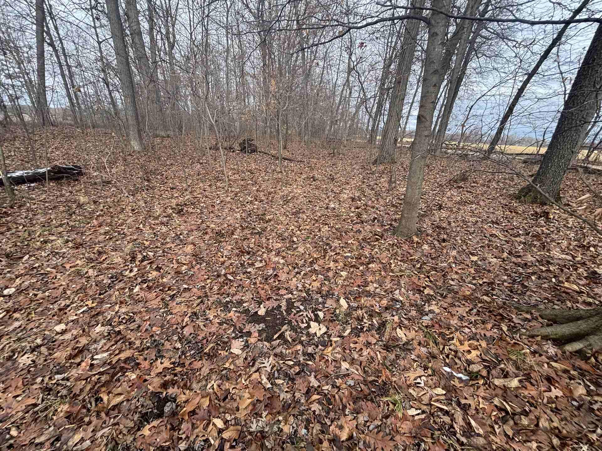 25 A 89th Decatur, MI 49045 - Photo 8 of 28 IMG_4241_2