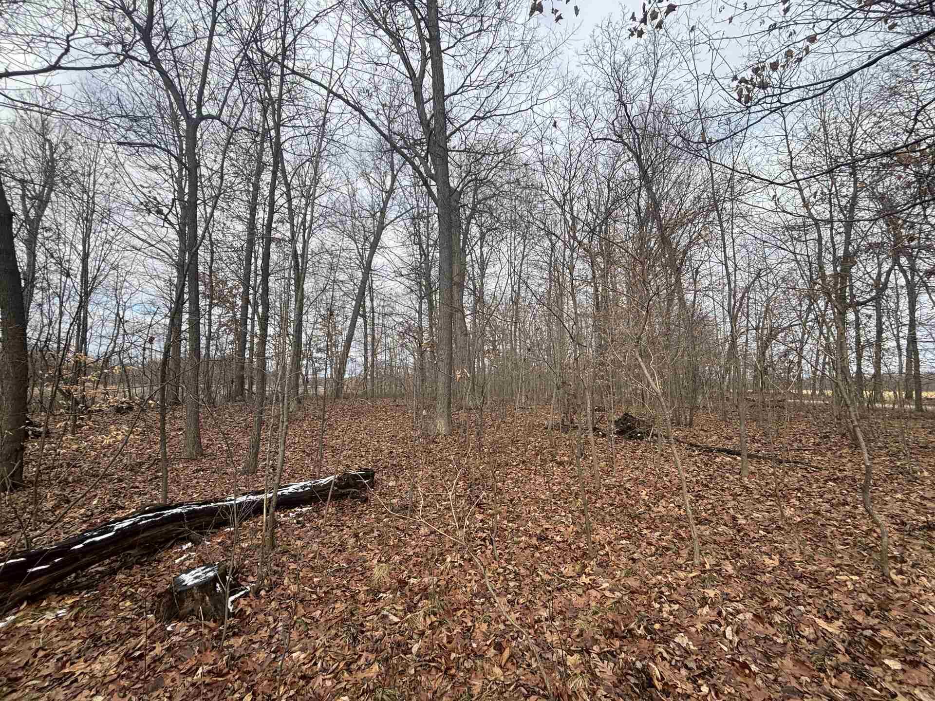 25 A 89th Decatur, MI 49045 - Photo 9 of 28 IMG_4242